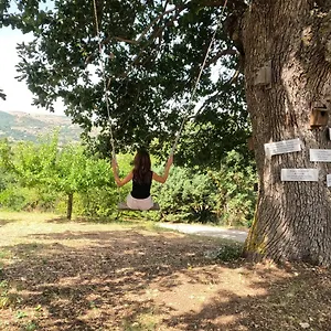 https://equiturismo-san-lorenzo.sicilyhotelsitaly.net
